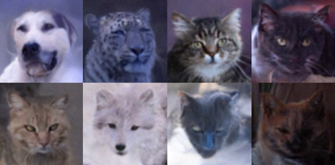 DDPM generated animal faces